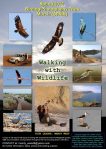 Poster WALKING WITH WILDLIFE (min)